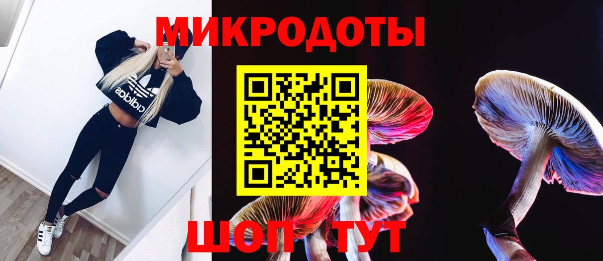 Псилоцибиновые грибы мухоморы Троицк